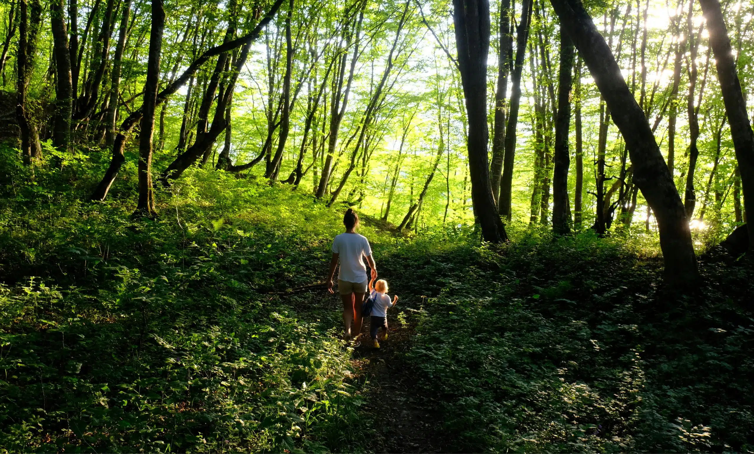 The other benefits of walking: Can it turn you into Yoda?